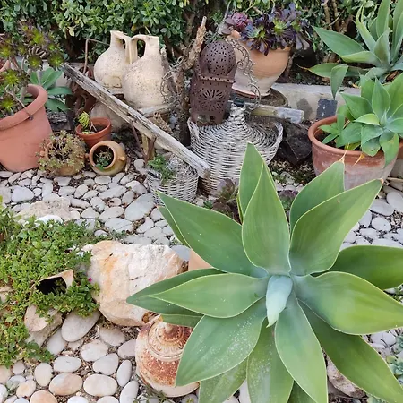 Casa Luna Llena فيلة *